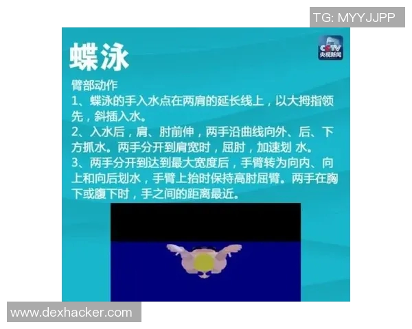 泳姿的多样化探索：各类泳姿的特点与技巧分析