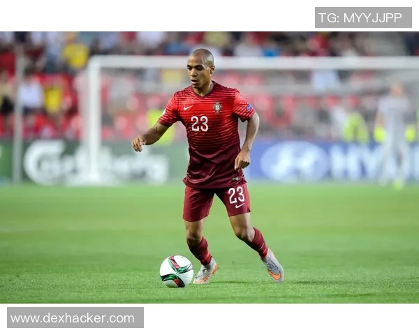 葡萄牙足球超级联赛赛季精彩回顾与未来发展前景分析