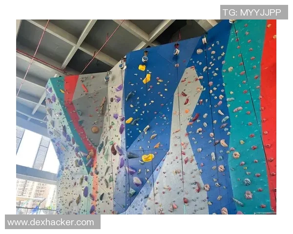 科学攀岩中的节奏训练技巧与方法探索提升攀爬表现的关键要素