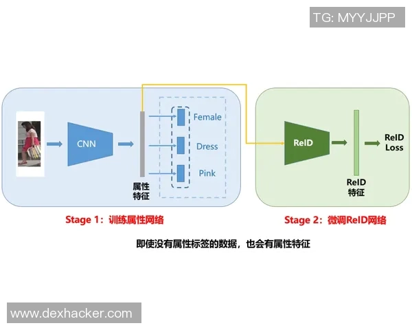 LNG边路渗透策略分析及其对比赛胜负的影响探讨